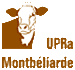 UPRA Montbeliarde